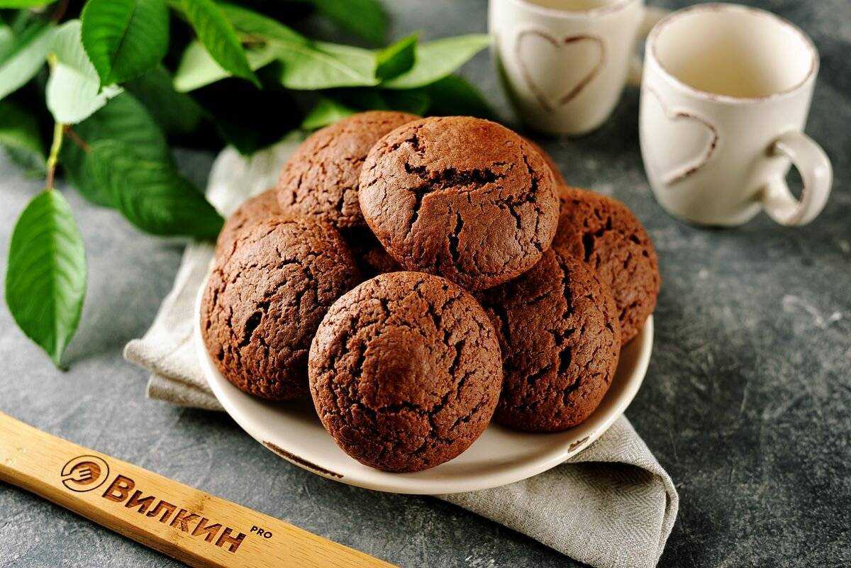Классическое шоколадное печенье. Шоколадное печенье. Печенье с какао. Красивое шоколадное печенье. Шоколадное печенье с какао.
