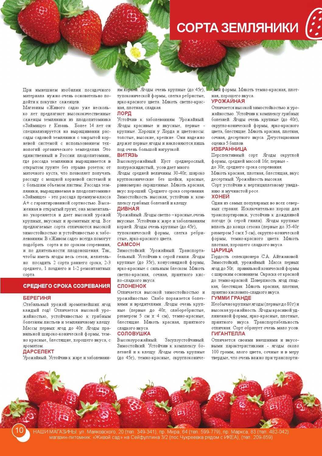 Как сделать облепиховое масло в домашних условиях: рецепты из жмыха, косточек, сока и замороженных ягод, полезные свойства продукта + отзывы% - recipes365.ru
