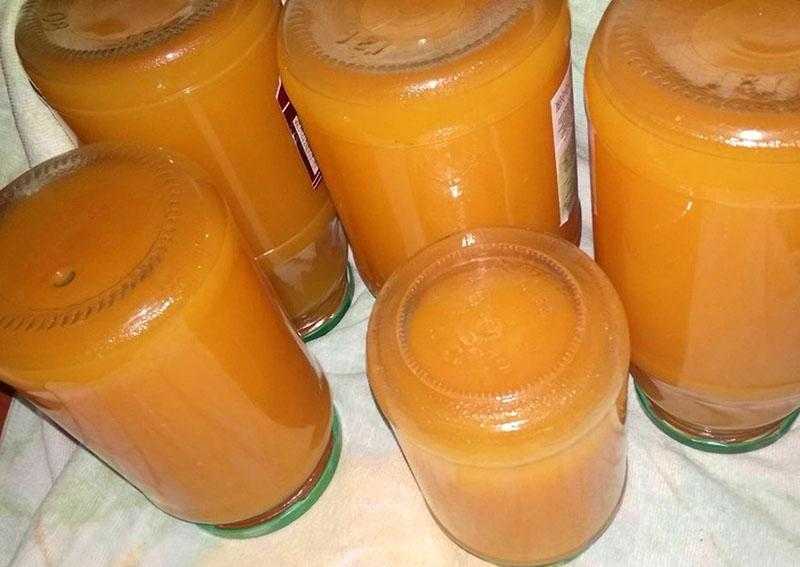 Тыквенно-яблочный сок на зиму: топ 6 пошаговых рецептов приготовления, хранение