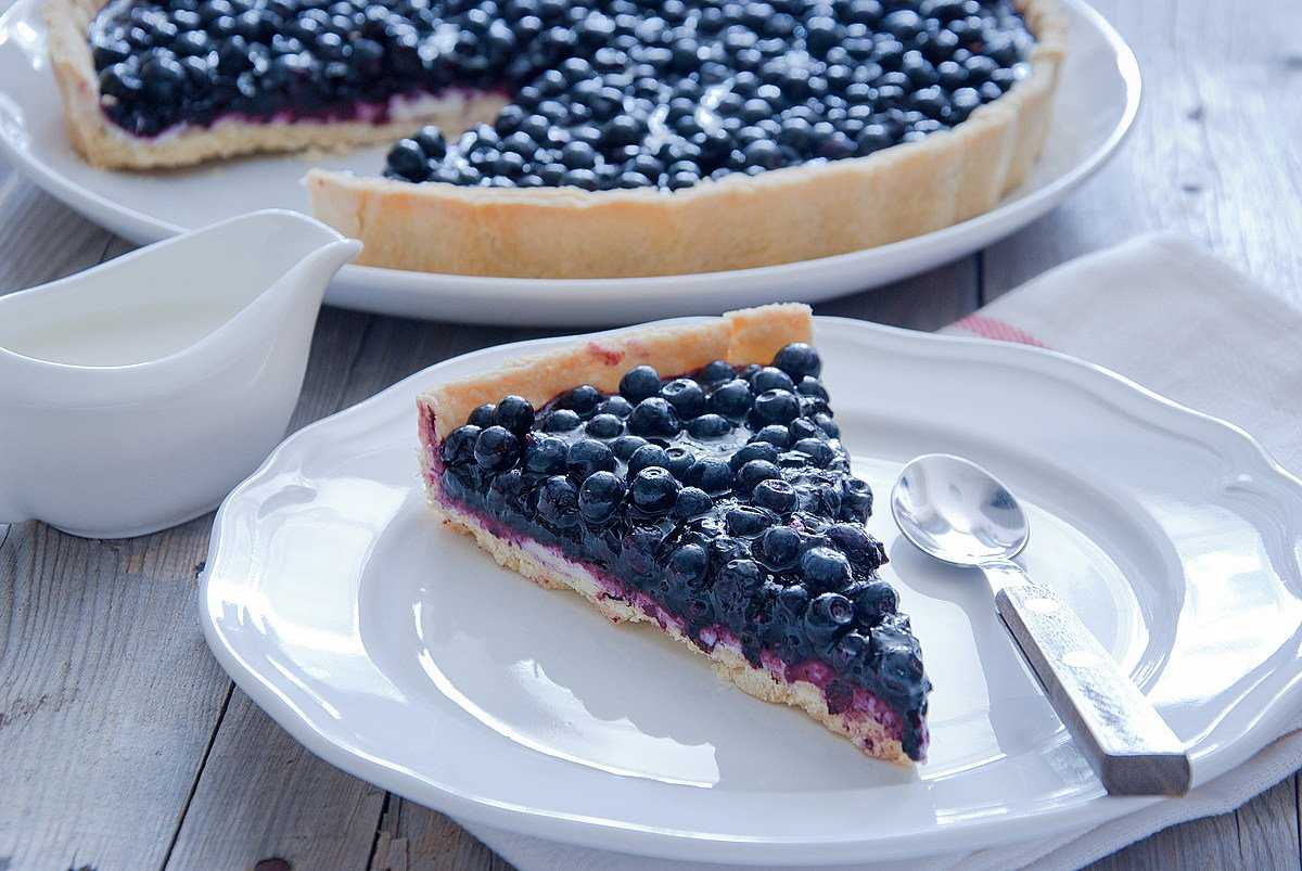 Черничный пирог — 6 вкусных и простых рецептов