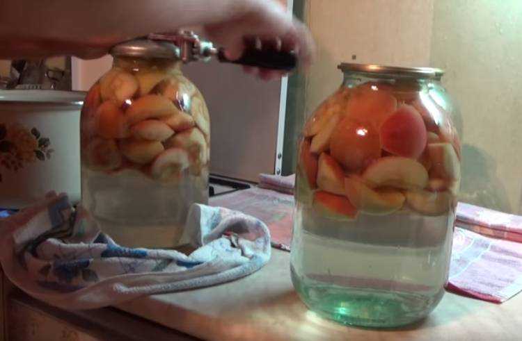 Как сварить компот из яблок в кастрюле. лучшие рецепты с фото