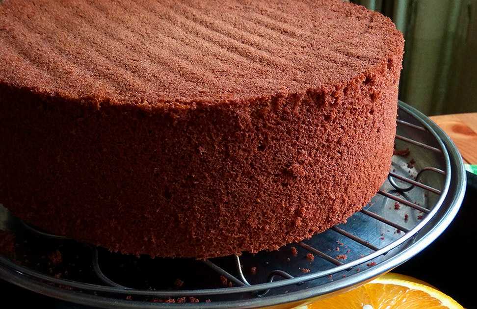 Шоколадный бисквит - 8 рецептов для торта, в мультиварке, духовке