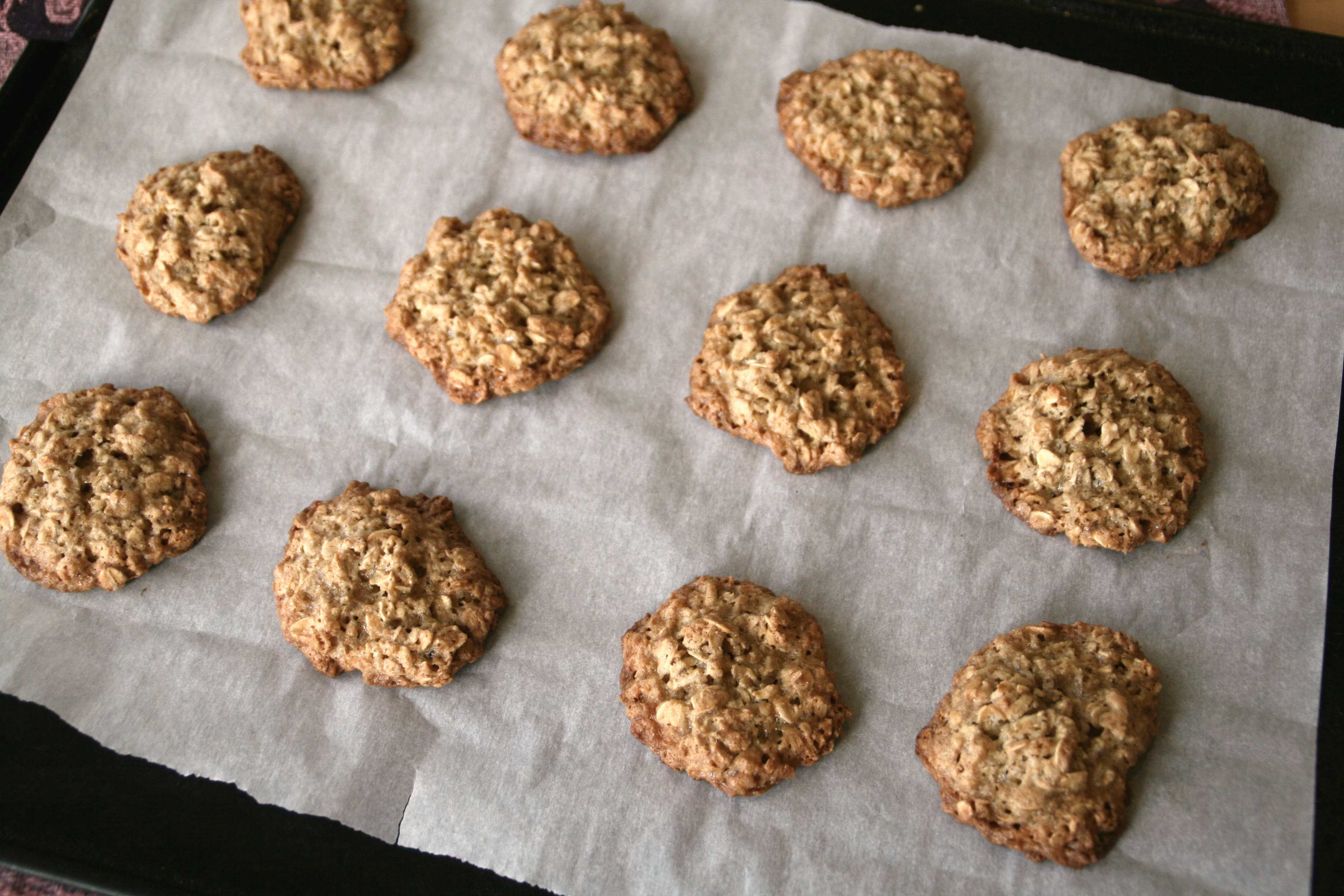 Печенье с орехами - как вкусно готовить с грецкими, арахисом, фундуком или миндалем в домашних условиях