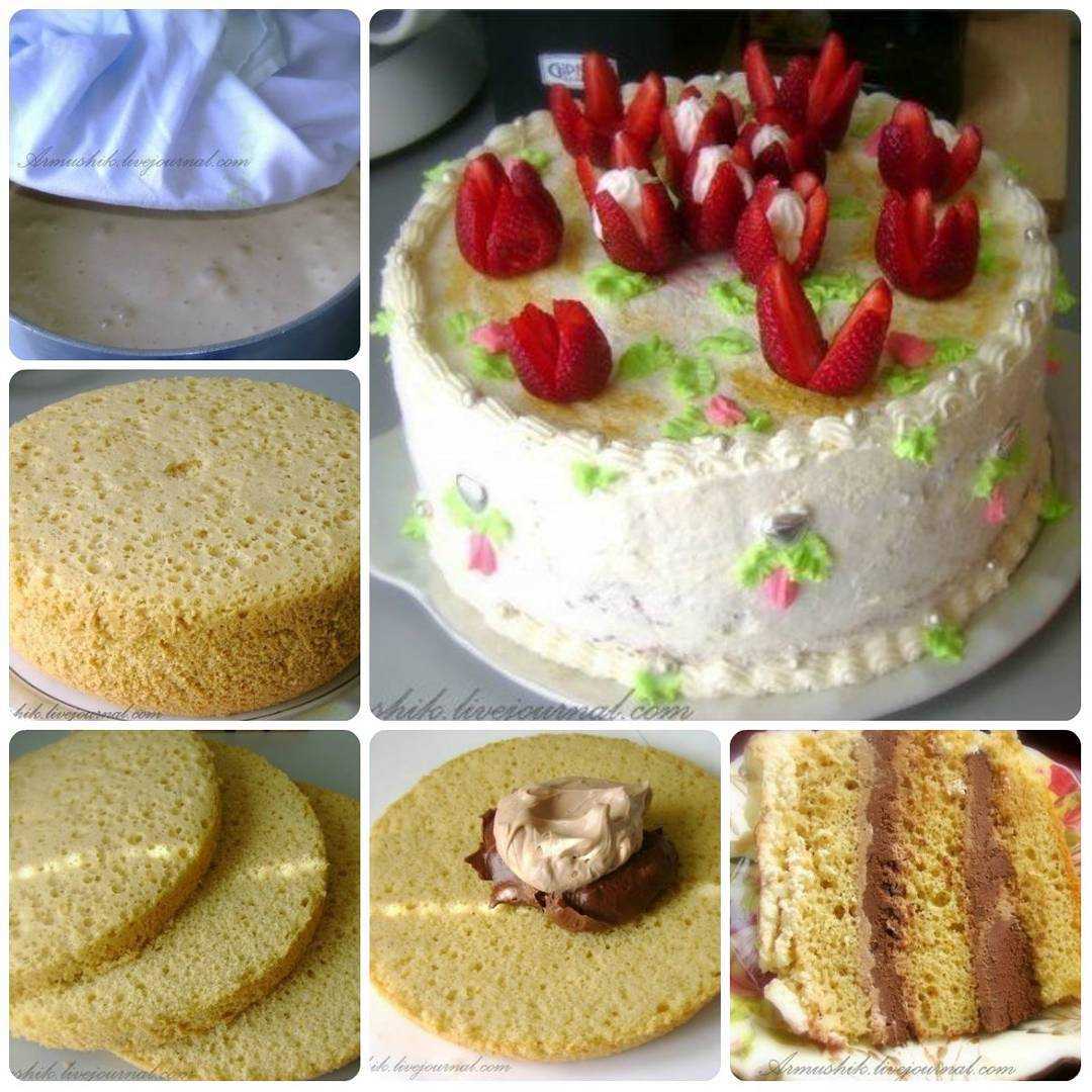 Сладкие хроникикрем для бисквитного торта: 15 моих самых популярных рецептов
крем для бисквитного торта: 15 моих самых популярных рецептов