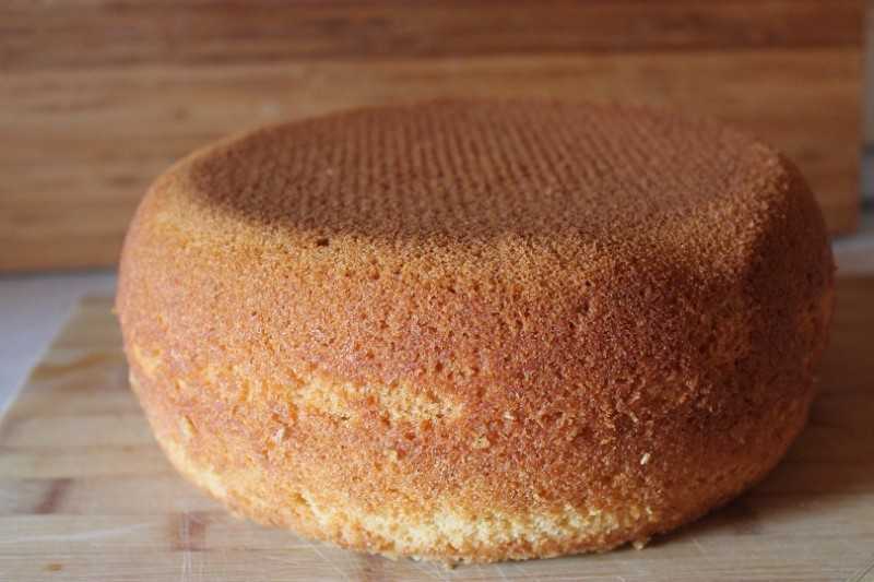 Бисквитный торт в мультиварке: как приготовить?