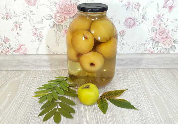 Как варить компот из свежих яблок на зиму в кастрюле: пошаговые рецепты