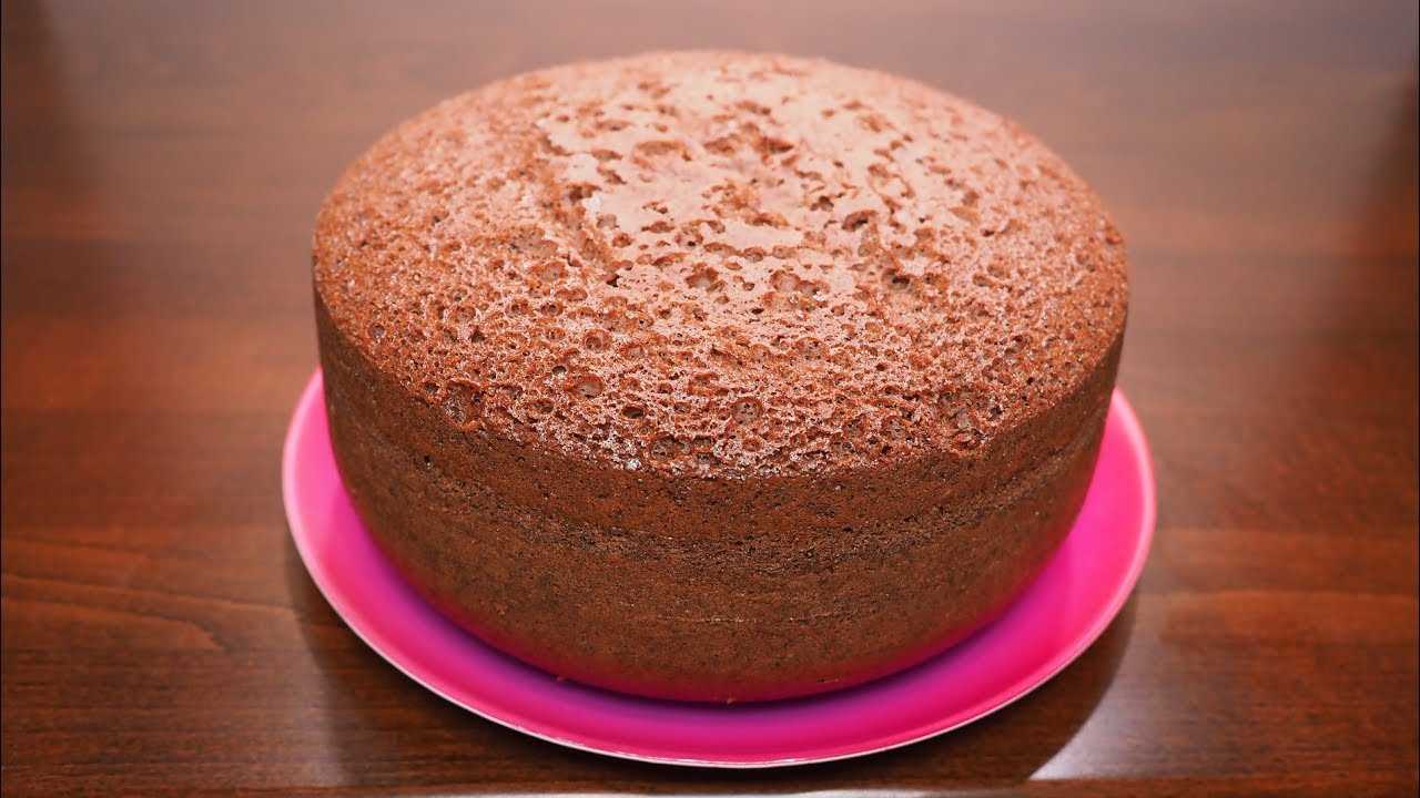 Бисквит для торта пышный и простой: 11 рецептов в духовке с фото пошагово