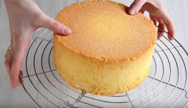 Бисквит для торта пышный и простой в духовке: 8 лучших рецептов бисквита