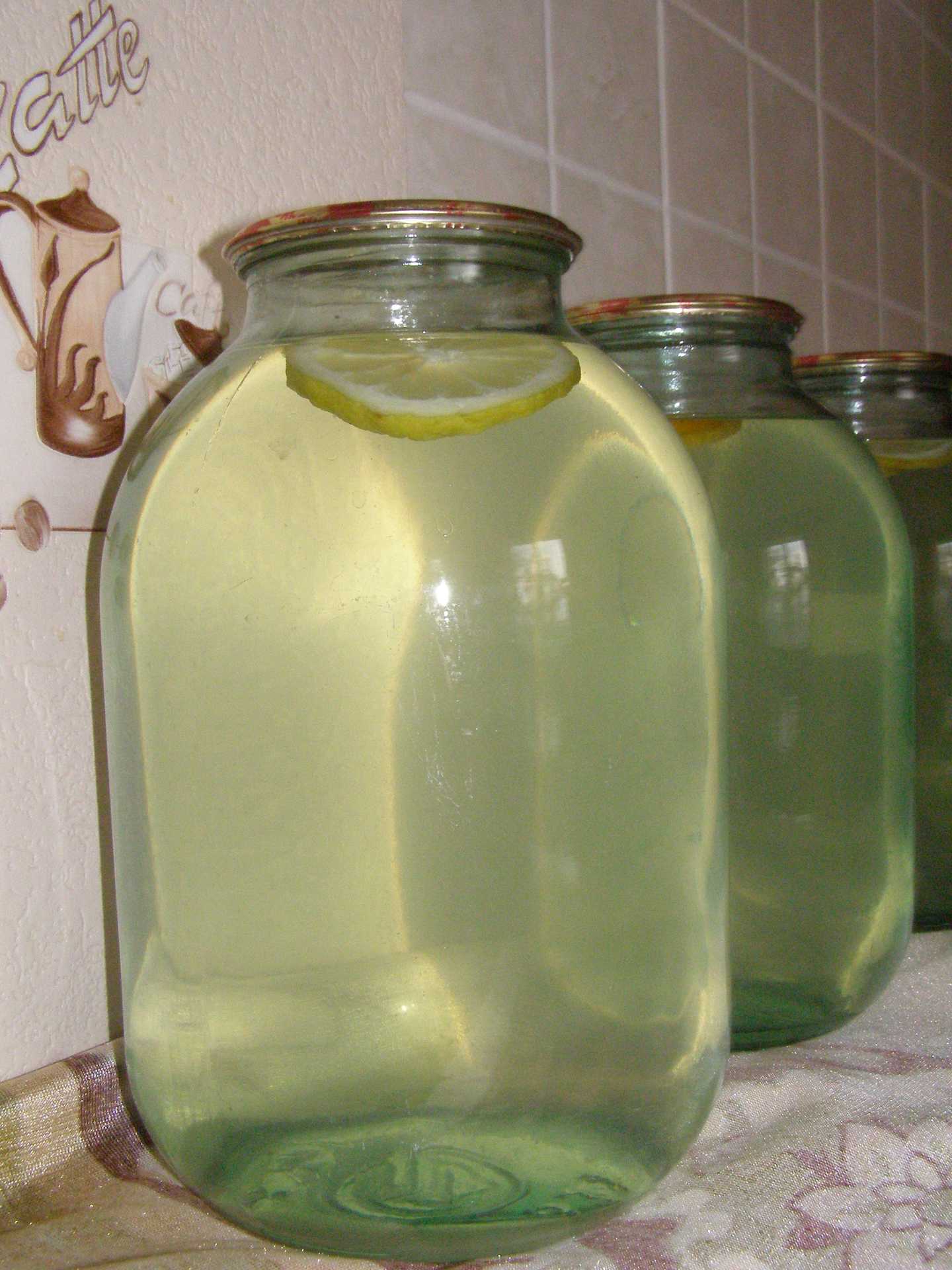 Как заготовить березовый сок на зиму в домашних условиях. рецепты консервирования