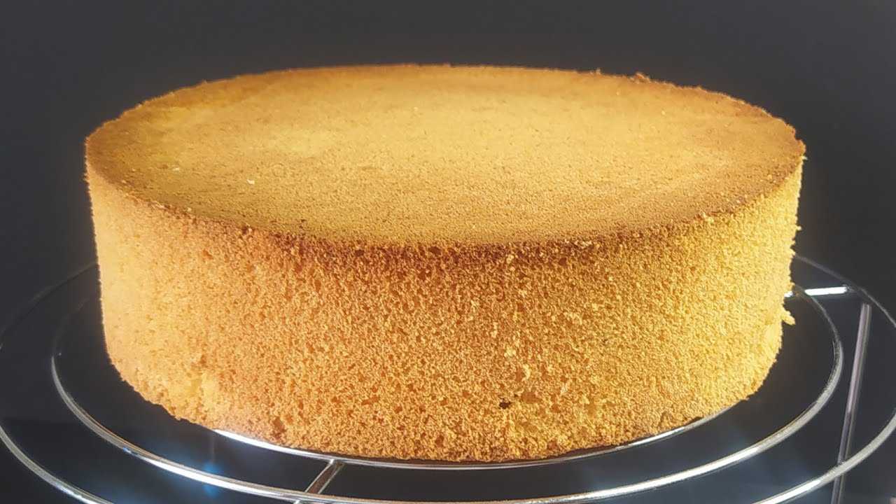 6 рецептов бисквита, классический рецепт торта в духовке