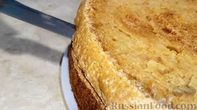 Самый лучший торт медовик - классические рецепты со сметанным кремом