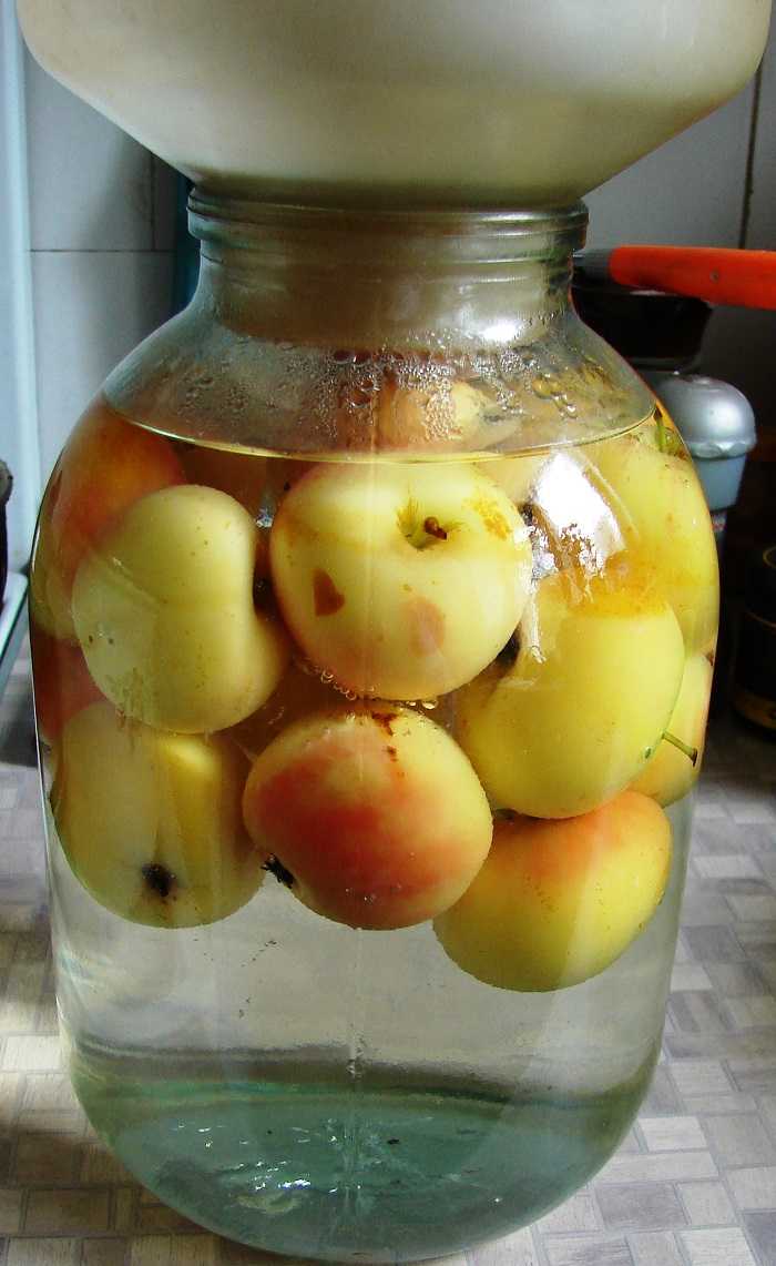 Компот из яблок на зиму - рецепты яблочного компота на 3-литровую банку