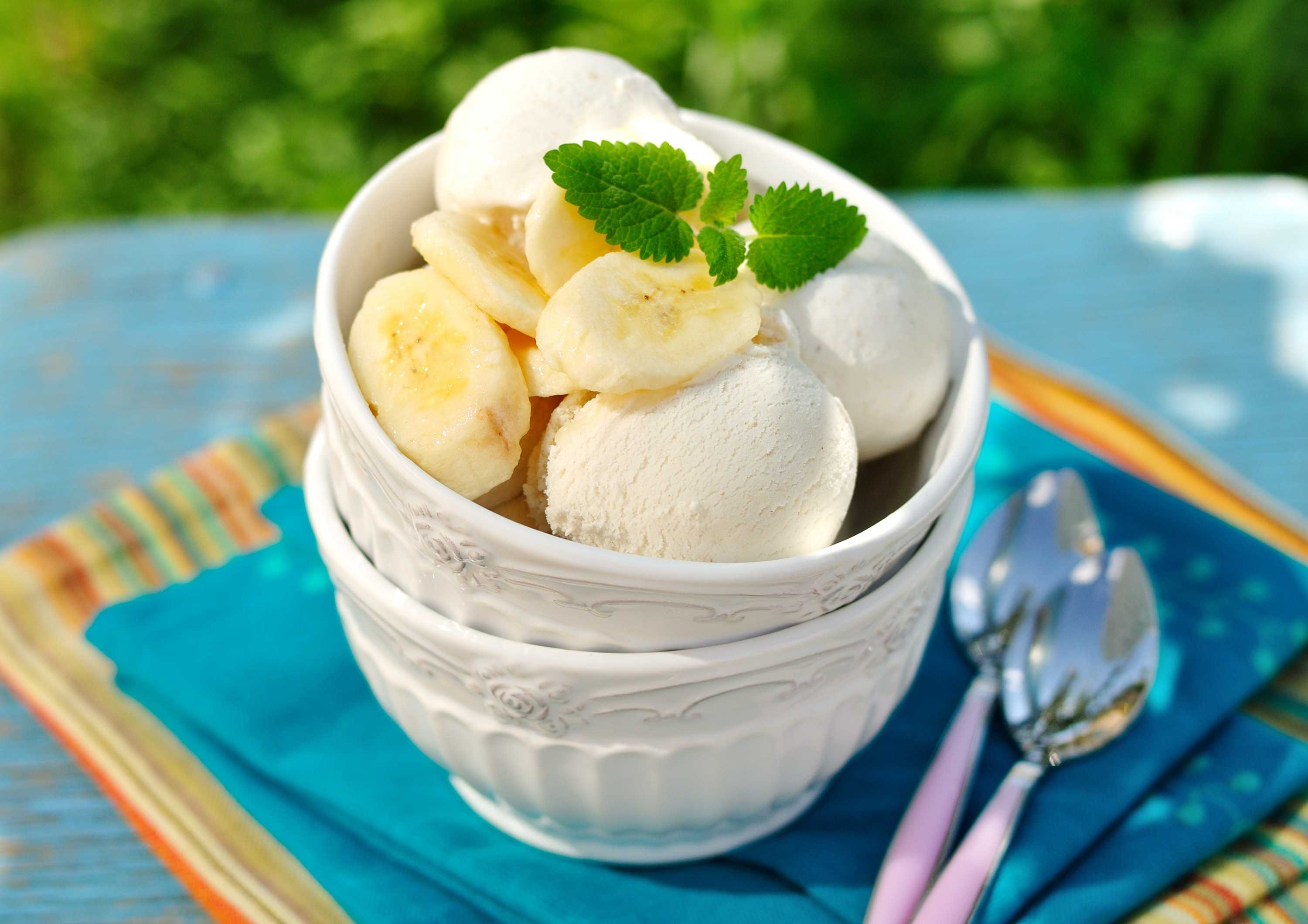 Как сделать домашнее мороженое из молока. топ - 30 рецептов с фото. мороженое со вкусом советского пломбира дома