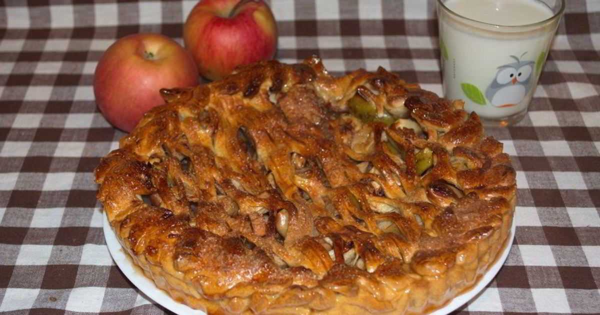 Пирог с яблоками из дрожжевого теста закрытый. Яблочный пирог из дрожжевого теста. Яблочный пирог открытый из дрожжевого. Пирог с яблоками из дрожжевого теста. Дрожжевой пирог с яблоками.