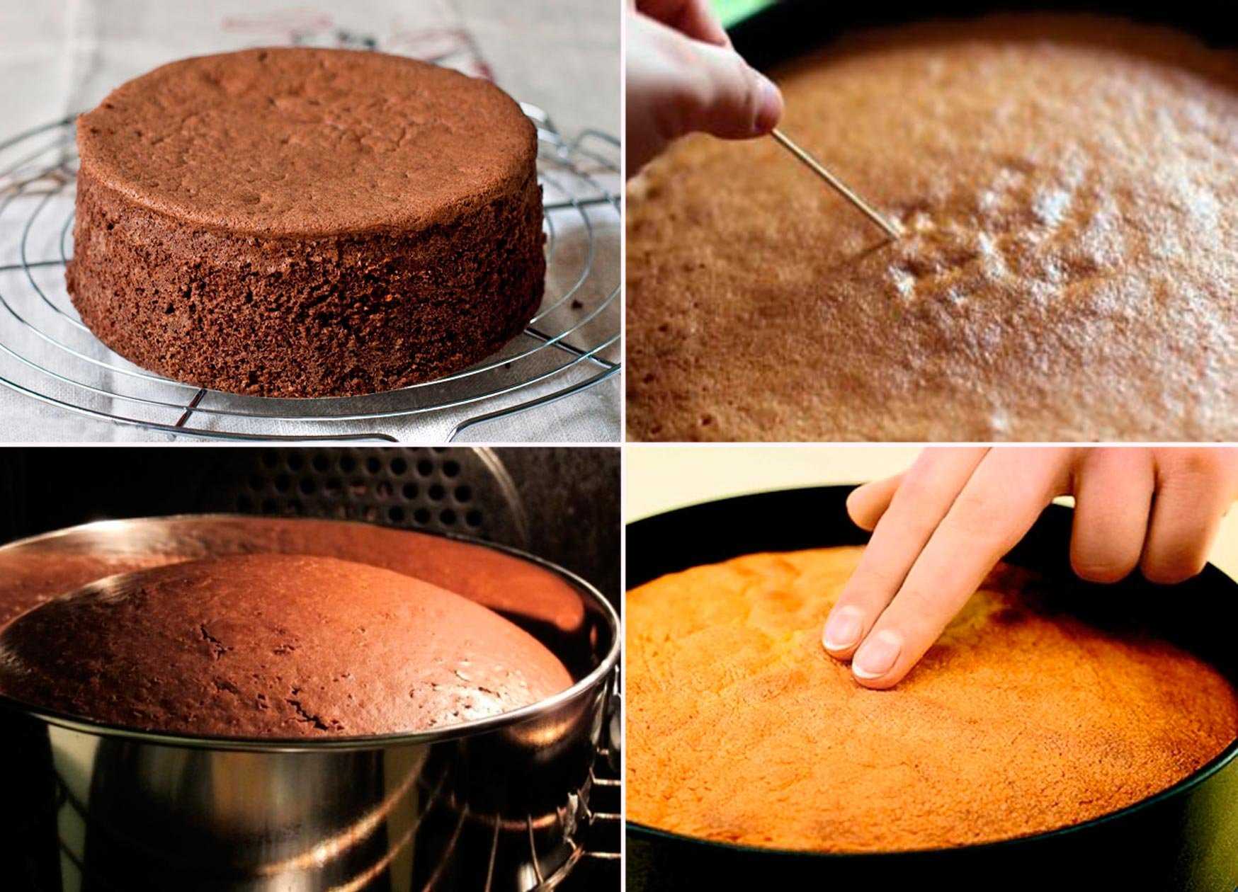 Чем можно пропитать бисквитные коржи для торта: 10 рецептов пропитки