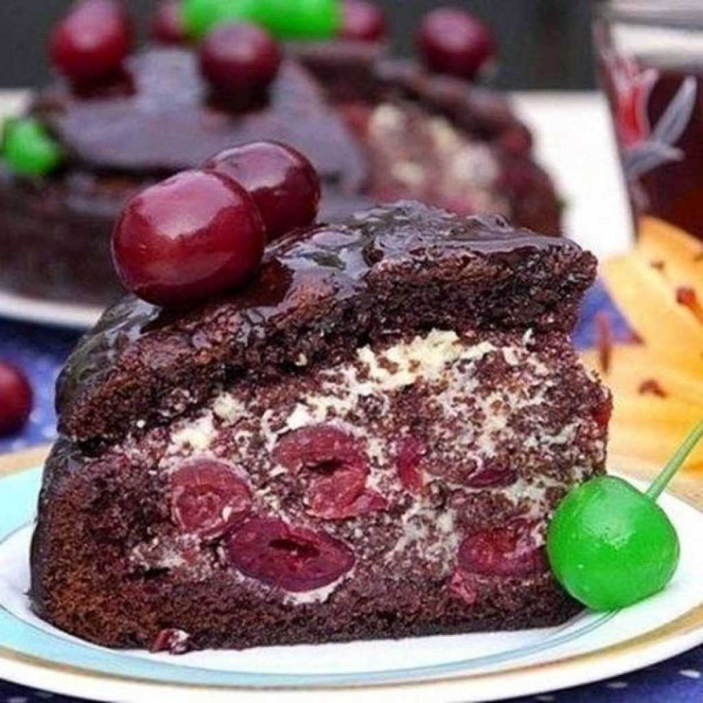 Торт с вишней – классический, бисквитный, шоколадный, творожный