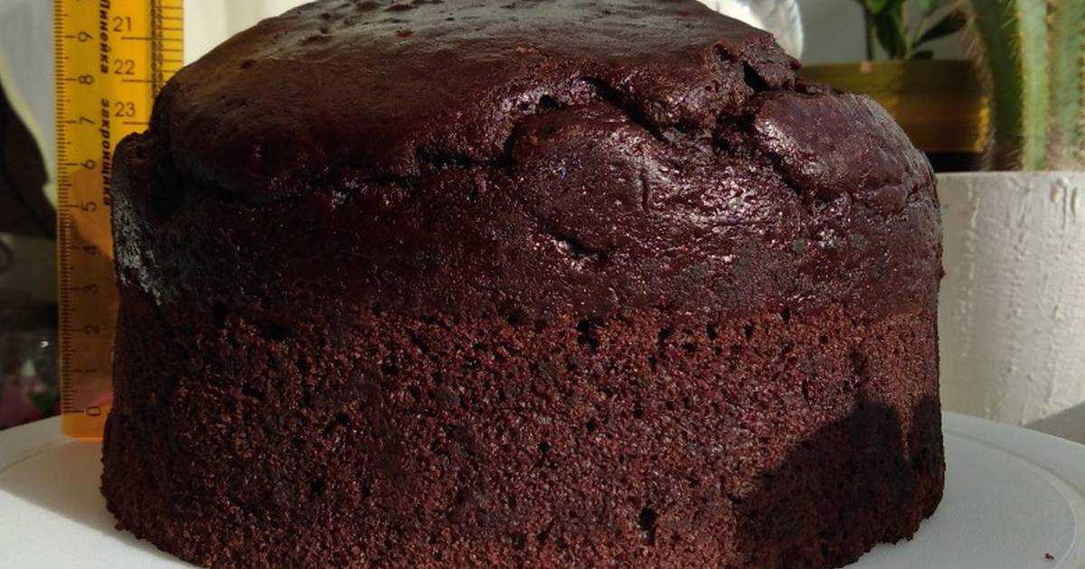 15 лучших рецептов, как испечь пышный шоколадный бисквит