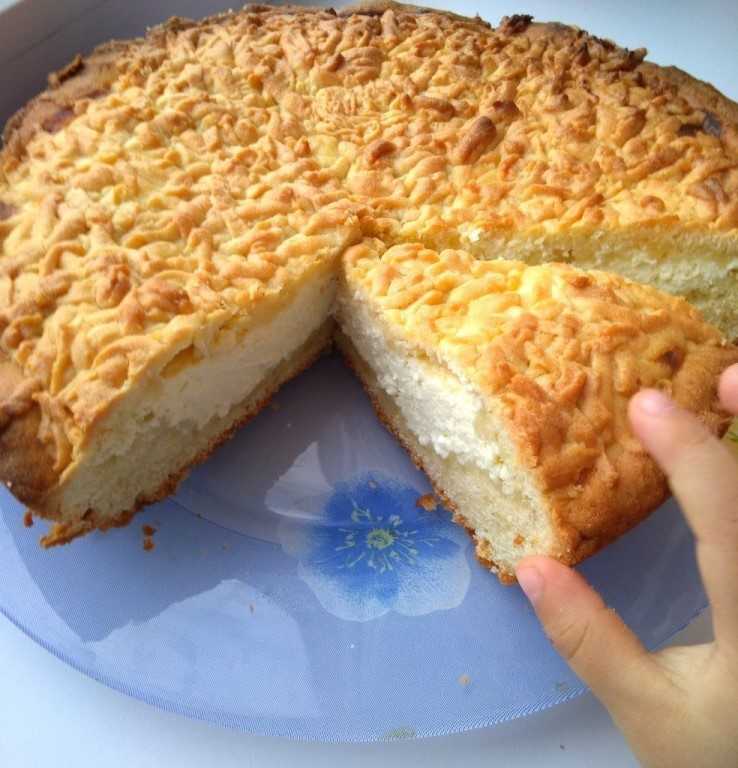 Пирог с творогом: рецепты очень вкусных быстрых и нежных творожных пирогов