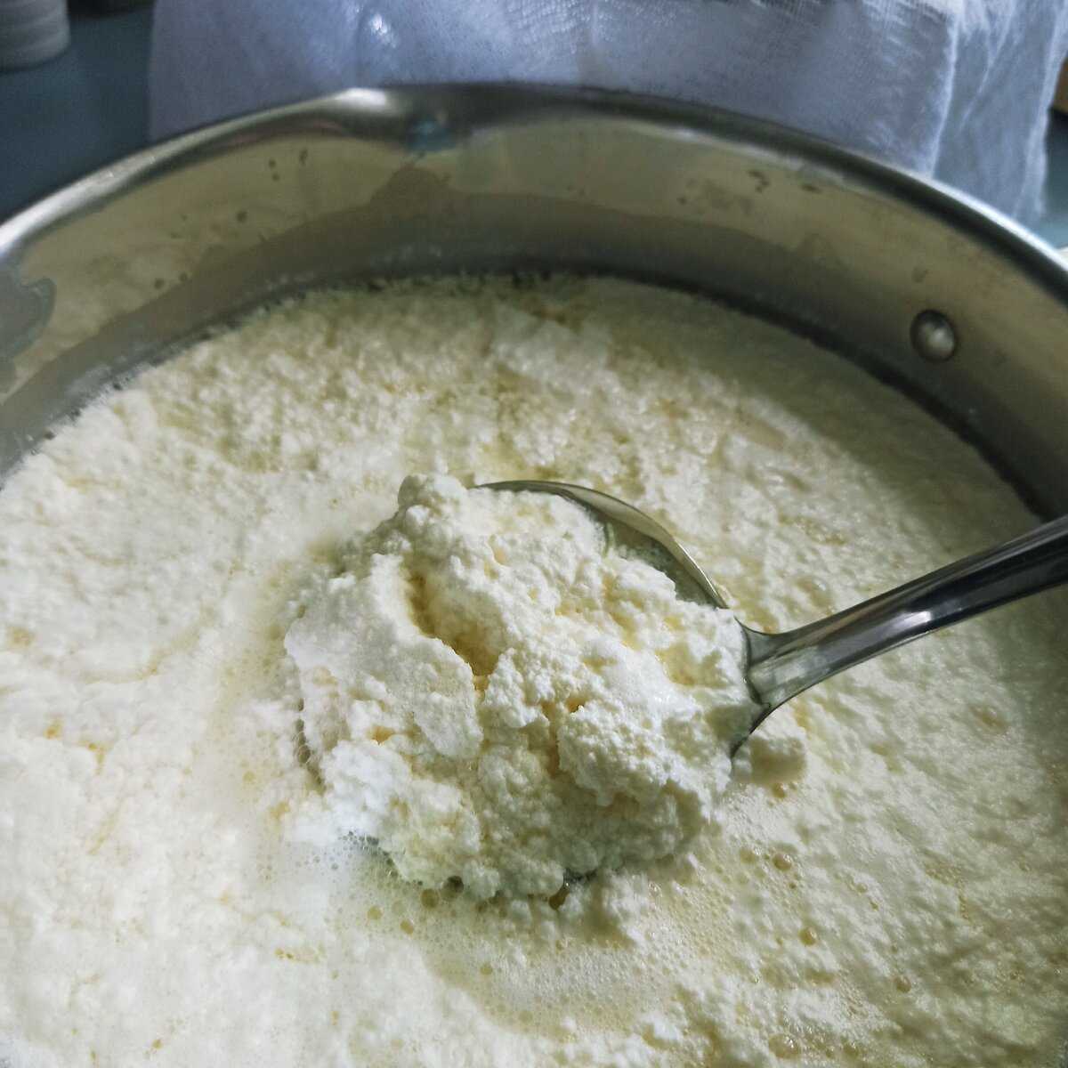 Домашний творог - рецепты приготовления пошагово с фото и видео