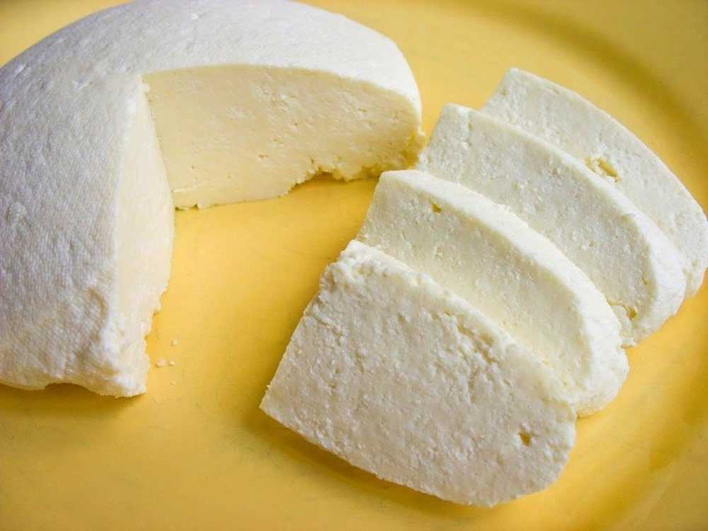 Самодельный сыр. Панир адыгейский сыр. Быштак Алтайский сыр. Тыва быштак. Тувинский сыр быштак.