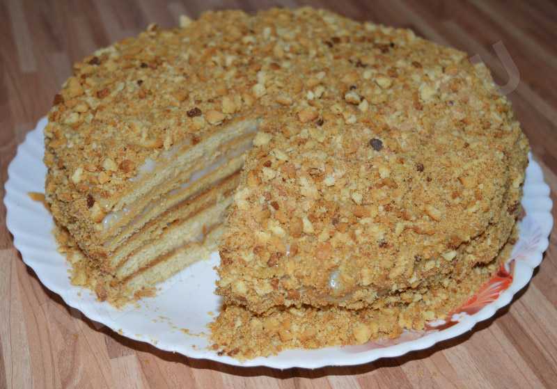 Торт медовик классический, рецепт с фото с заварным кремом